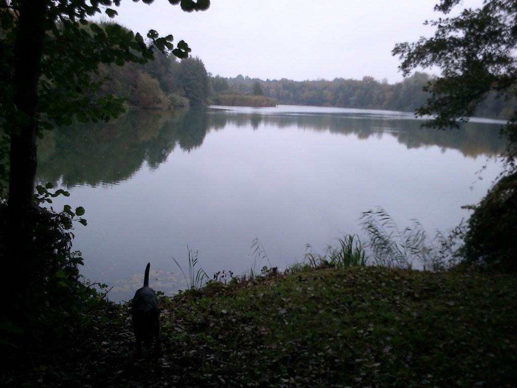 Lula am Oberwaldsee