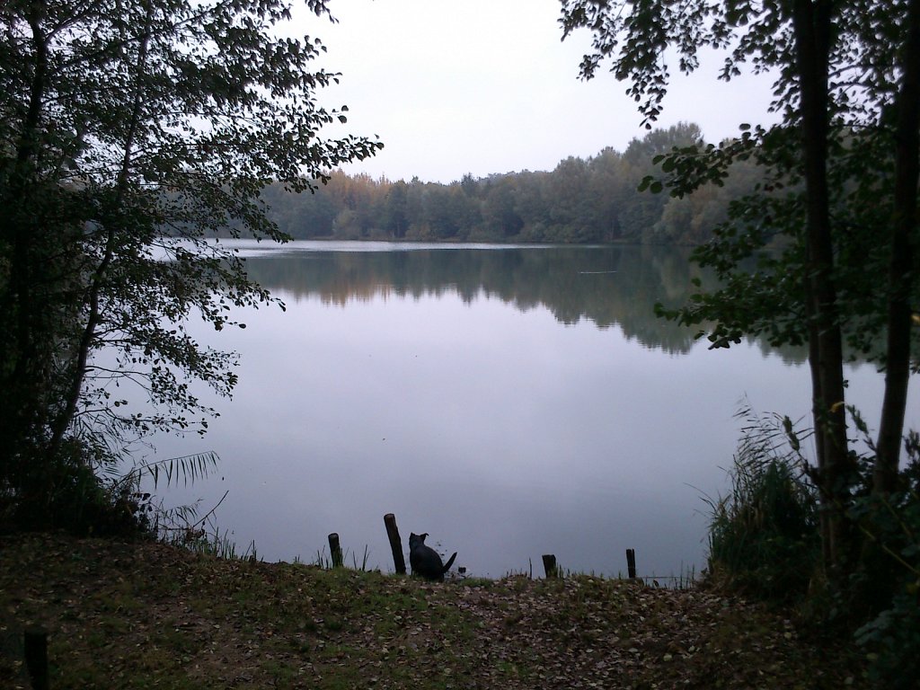 Lula am Oberwaldsee