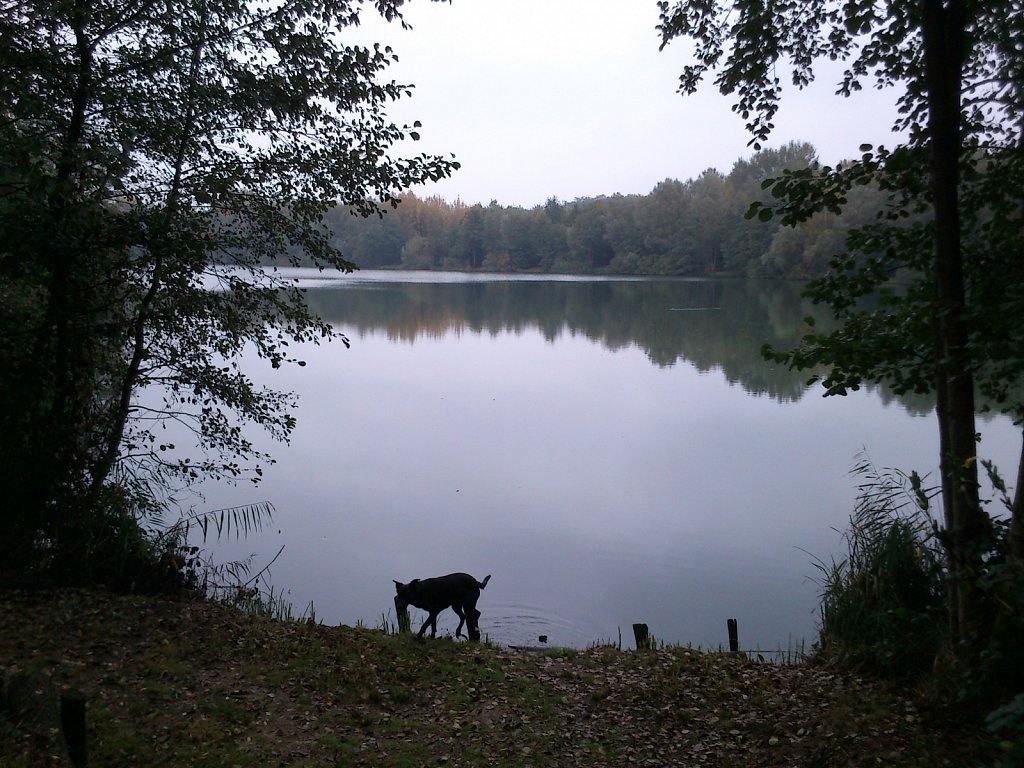 Lula am Oberwaldsee