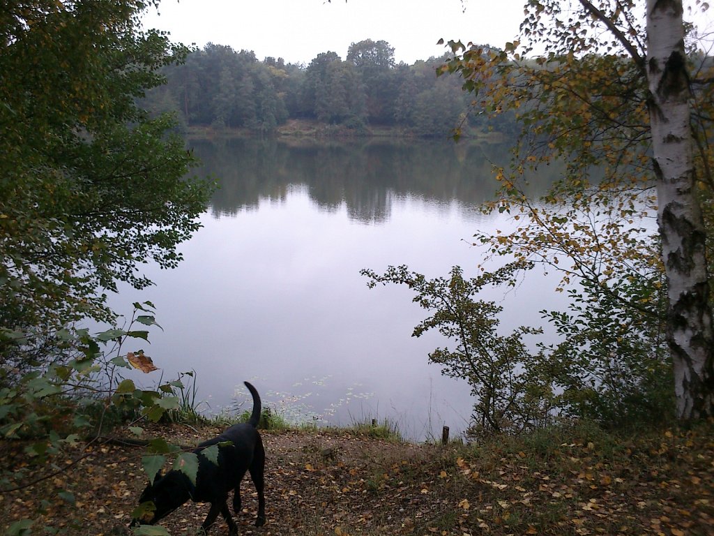 Lula am Oberwaldsee