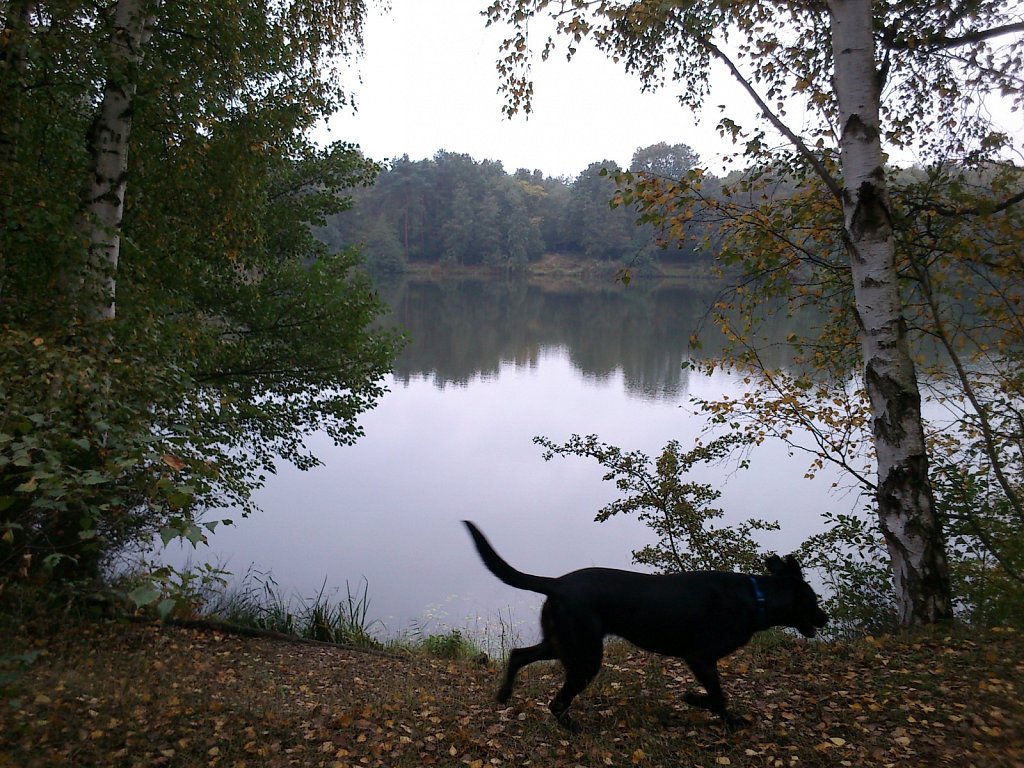 Lula am Oberwaldsee