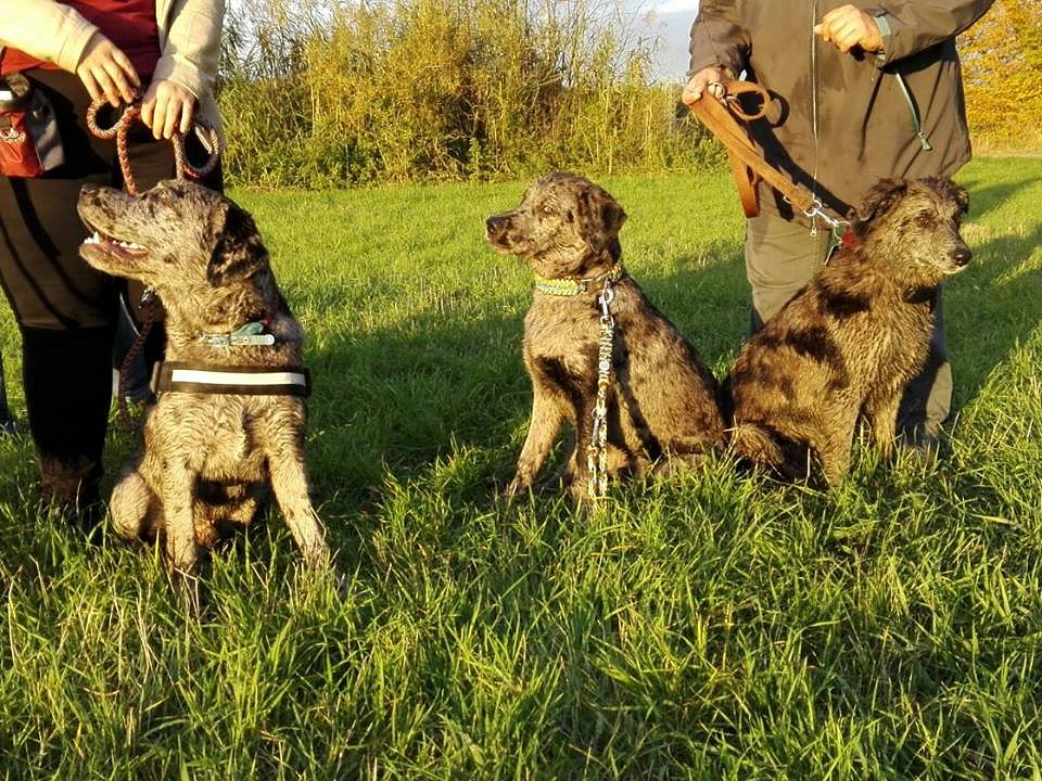 Söhnetreffen mit Loki und Theodor