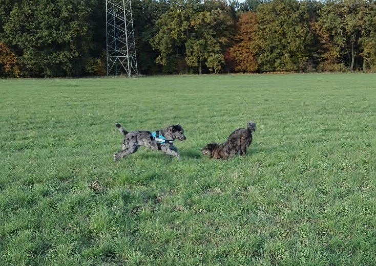 Söhnetreffen mit Loki und Theodor