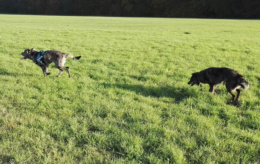 Söhnetreffen mit Loki und Theodor