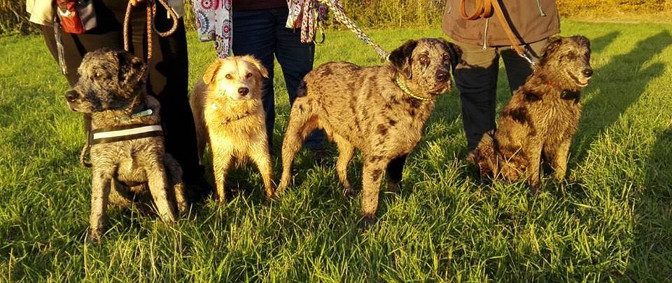 Söhnetreffen mit Loki und Theodor