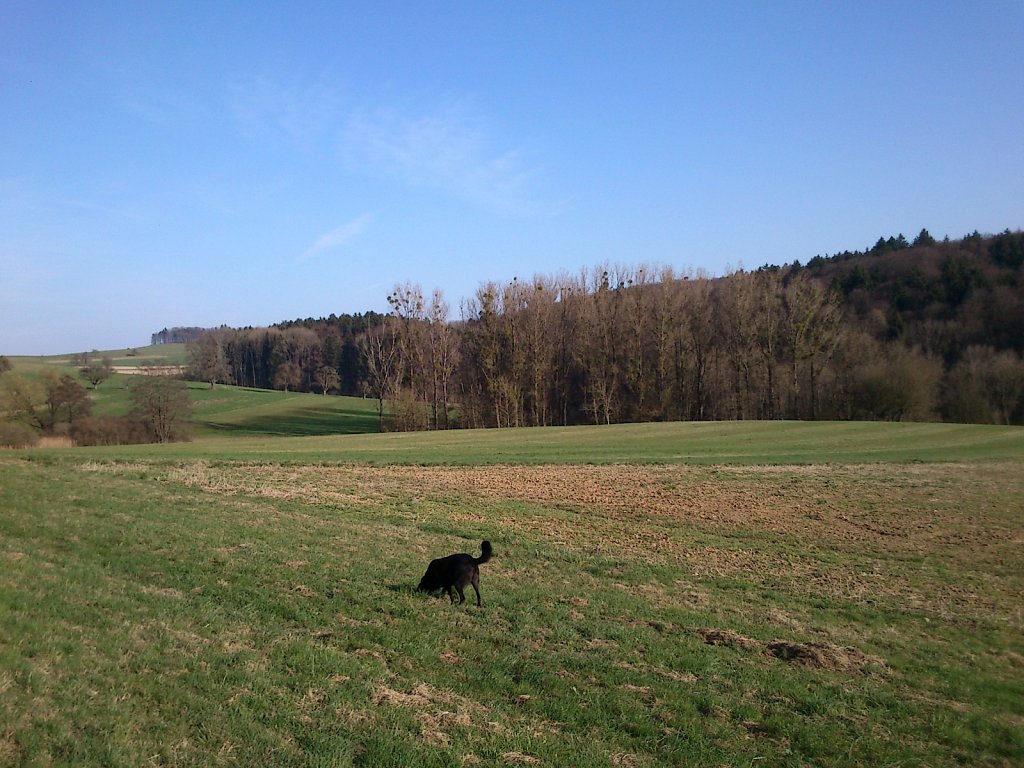 Pria wieder im Süden