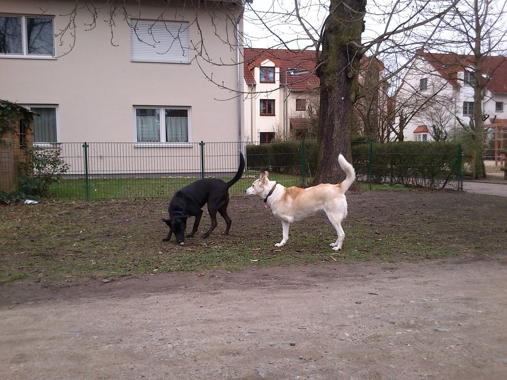 Lula und Molly